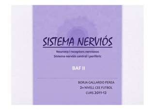 SISTEMA NERVIÓS
    Neurona	
  i	
  receptors	
  nerviosos	
  
  Sistema	
  nerviós	
  central	
  i	
  perifèric	
  


                     BAF	
  II	
  

                           BORJA	
  GALLARDO	
  PEREA	
  
                             2n	
  NIVELL	
  CEE	
  FUTBOL	
  
                                    CURS	
  2011-­‐12	
  
 