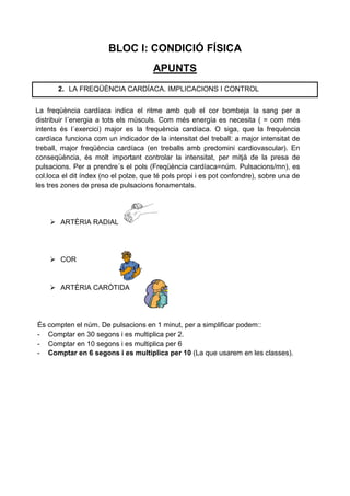 BLOC I: CONDICIÓ FÍSICA
                                      APUNTS
       2. LA FREQÜÈNCIA CARDÍACA. IMPLICACIONS I CONTROL


La freqüència cardíaca indica el ritme amb què el cor bombeja la sang per a
distribuir l´energia a tots els músculs. Com més energía es necesita ( = com més
intents és l´exercici) major es la frequència cardíaca. O siga, que la frequència
cardíaca funciona com un indicador de la intensitat del treball: a major intensitat de
treball, major freqüència cardíaca (en treballs amb predomini cardiovascular). En
conseqüència, és molt important controlar la intensitat, per mitjà de la presa de
pulsacions. Per a prendre´s el pols (Freqüència cardíaca=núm. Pulsacions/mn), es
col.loca el dit índex (no el polze, que té pols propi i es pot confondre), sobre una de
les tres zones de presa de pulsacions fonamentals.




     ARTÈRIA RADIAL




     COR


     ARTÈRIA CARÒTIDA




És compten el núm. De pulsacions en 1 minut, per a simplificar podem::
- Comptar en 30 segons i es multiplica per 2.
- Comptar en 10 segons i es multiplica per 6
- Comptar en 6 segons i es multiplica per 10 (La que usarem en les classes).
 