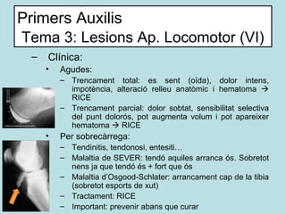 Primers Auxilis   Tema 3: Lesions Ap. Locomotor (VI) <ul><ul><li>Clínica: </li></ul></ul><ul><ul><ul><li>Agudes: </li></ul...