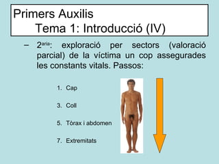 Primers Auxilis Tema 1: Introducció (IV) <ul><ul><li>2 aria : exploració per sectors (valoració parcial) de la víctima un ...