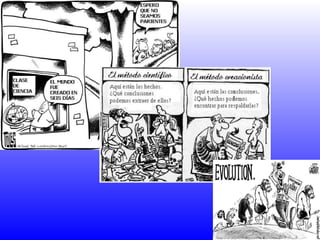 Apunts evolució adaptat