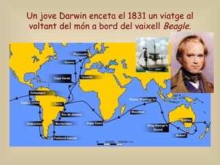 Un jove Darwin enceta el 1831 un viatge al
voltant del món a bord del vaixell Beagle.
 
