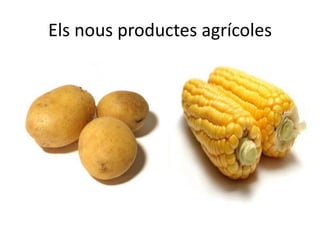 Els nous productes agrícoles

 