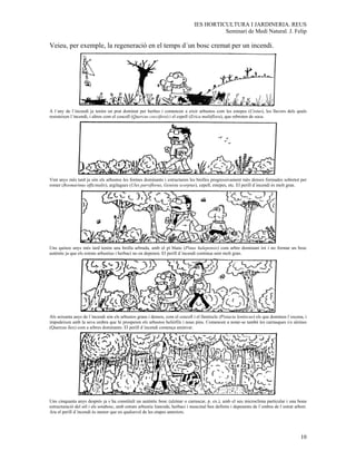 IES HORTICULTURA I JARDINERIA. REUS
                                                                                          Seminari de Medi Natural. J. Felip

Veieu, per exemple, la regeneració en el temps d´un bosc cremat per un incendi.




A l´any de l´incendi ja tenim un prat dominat per herbes i comencen a eixir arbustos com les estepes (Cistus), les llavors dels quals
resisteixen l´incendi, i altres com el coscoll (Quercus coccifera) i el cepell (Erica multiflora), que rebroten de soca.




Vint anys més tard ja són els arbustos les formes dominants i estructuren les brolles progressivament més denses formades sobretot per
romer (Rosmarinus officinalis), argilagues (Ules parviflorus, Genista scorpius), cepell, estepes, etc. El perill d´incendi és molt gran.




Uns quinze anys més tard tenim una brolla arbrada, amb el pi blanc (Pinus halepensis) com arbre dominant tot i no formar un bosc
autèntic ja que els estrats arbustius i herbaci no en depenen. El perill d´incendi continua sent molt gran.




Als seixanta anys de l´incendi són els arbustos grans i densos, com el coscoll i el llentiscle (Pistacia lentiscus) els que dominen l´escena, i
impedeixen amb la seva ombra que hi prosperen els arbustos heliòfils i nous pins. Comencen a notar-se també les carrasques i/o alzines
(Quercus ilex) com a arbres dominants. El perill d´incendi comença aminvar.




Uns cinquanta anys després ja s´ha constituït un autèntic bosc (alzinar o carrascar, p. ex.), amb el seu microclima particular i una bona
estructuració del sòl i els sotabosc, amb estrats arbustiu lianoide, herbaci i muscinal ben definits i depenents de l´ombra de l´estrat arbori.
Ara el perill d´incendi és menor que en qualsevol de les etapes anteriors.




                                                                                                                                           10
 