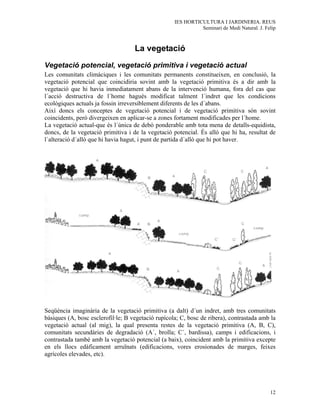 IES HORTICULTURA I JARDINERIA. REUS
                                                              Seminari de Medi Natural. J. Felip



                                    La vegetació
Vegetació potencial, vegetació primitiva i vegetació actual
Les comunitats climàciques i les comunitats permanents constitueixen, en conclusió, la
vegetació potencial que coincidiria sovint amb la vegetació primitiva és a dir amb la
vegetació que hi havia inmediatament abans de la intervenció humana, fora del cas que
l´acció destructiva de l´home hagués modificat talment l´indret que les condicions
ecològiques actuals ja fossin irreversiblement diferents de les d´abans.
Així doncs els conceptes de vegetació potencial i de vegetació primitiva són sovint
coincidents, però divergeixen en aplicar-se a zones fortament modificades per l´home.
La vegetació actual-que és l´única de debò ponderable amb tota mena de detalls-equidista,
doncs, de la vegetació primitiva i de la vegetació potencial. És alló que hi ha, resultat de
l´alteració d´allò que hi havia hagut, i punt de partida d´allò que hi pot haver.




Seqüència imaginària de la vegetació primitiva (a dalt) d´un indret, amb tres comunitats
bàsiques (A, bosc esclerofil·le; B vegetació rupícola; C, bosc de ribera), contrastada amb la
vegetació actual (al mig), la qual presenta restes de la vegetació primitiva (A, B, C),
comunitats secundàries de degradació (A´, brolla; C´, bardissa), camps i edificacions, i
contrastada també amb la vegetació potencial (a baix), coincident amb la primitiva excepte
en els llocs edàficament arruïnats (edificacions, vores erosionades de marges, feixes
agrícoles elevades, etc).




                                                                                             12
 