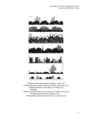 IES HORTICULTURA I JARDINERIA. REUS
                                                  Seminari de Medi Natural. J. Felip




      1 Màquia esclarissada (màquia de garric i arçot, etc.)
 2 Matoll (boixedes, matolls de neret, de bàlec, de ginestó, etc.)
        3 Bardissa (bardissa amb roldor, de coralet, etc.)
           4 Garriga                                    .
5 Brolla (brolla de romaní i bruc d´hivern, d´estepes i brucs, etc.)
           6 Landa (landa de gòdua i falguera, etc.) .
    7 Timoneda (timoneda de cerrell, de ruac i trincula, etc.)




                                                                                 17
 