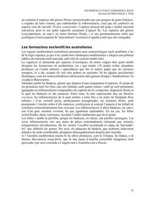 IES HORTICULTURA I JARDINERIA. REUS
                                                              Seminari de Medi Natural. J. Felip

un centenar d´espècies del gènere Protea caracteritzades per una gorgera de grans bràctees,
a vegades de tons vistents, que embolcallen la inflorescència, cosa que els confereix un
aspecte com de carxofa: Protea cyanaroides, l´espècie príncep del grup i símbol nacional
sud-africà, pren el seu epítet específic justament d´aquest fet. Les espècies del gènere
Leucospermum, en canvi, no tenen bràctees florals, i si uns prominentíssims estils que
justifiquen el nom popular de "pincushions" (coixinets d´agulles) amb que són conegudes.


Les formacions esclerofil.les australianes
Les regions mediterrànies australianes presenten unes característiques molt semblants a les
de la regió capenca, ja que a les condicions climàtiques mediterrànies s´afegeix una pobresa
edàfica de nutrients molt marcada, amb sòls de caràcter també silici.
La vegetació és dominada per espècies d´eucaliptus, els noms vulgars dels quals també
designen les formacions on predominen, tot i que també s´hi poden trobar abundants
proteàcies en l´estrat arbustiu i epacridàcies que fan el mateix paper que les ericàcies
europees, és a dir, ocupen els sòls més pobres en nutrients. Hi ha algunes peculiaritats
florístiques, com les monocotiledònies arborescents dels gèneres Kingia i Xanthorrhoea i la
cicadàcia Macrozamia.
Abunden també les Banksia, gènere que disposa d´una cinquantena d´espècies. És propi de
les proteàcies tenir les flors, que són tubulars, amb quatre estams i amb un estil prominent,
agrupades en inflorescències comparables als capítols de les compostes, disposició floral en
la qual les bànksies es fan remarcar. Entre totes, la més espectacular deu ser Banksia
coccinea, les inflorescències de la qual arriben a tenir fins a un miler de llampants flors
tubulars i d´un vermell encès, perfectament arrenglerades, els elements fèrtils, molt
prominents i vinclats sobre d´ells mateixos, confereixen al conjunt l´aspecte d´un treball de
cistelleria extraordinàriament ben executat. Les inflorescències d´altres bànksies, en canvi,
són d´un groc ensofrat vivíssim, bé que igualment esplèndides. En tot cas, les fulles
esclerificades, dures i perennes, recorden l´àmbit mediterrani que els és propi.
Les fulles i també la pirofilia, perquè les banksies, en efecte, són piròfits reconeguts. Les
seves infrutescències són una mena de pinya extremadament reforçada que resisteix
temeperatures elevadíssimes. De fet. només l´escalfor accentuada és capaç de "persuadir-
les" que alliberin les granes. Per això, els plançons de bànksia, que acabaran esdevenint
arbustos de mida considerable, prosperen abassegadorament després dels incendis.
A l´Austràlia mediterrània encara hi ha altres proteàcies, com la Telopea, les Hakea, o la
famosa Macadamia integrifolia, que fa una mena d´ametlla comestible oleaginosa molt
apreciada i per això conreada a l´engrós tant a Austràlia com a Hawai.




                                                                                             33
 