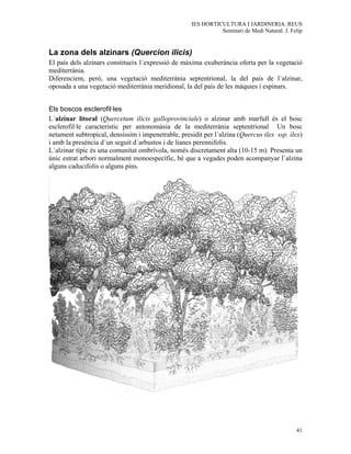 IES HORTICULTURA I JARDINERIA. REUS
                                                              Seminari de Medi Natural. J. Felip


La zona dels alzinars (Quercion ilicis)
El país dels alzinars constitueix l´expressió de màxima exuberància oferta per la vegetació
mediterrània.
Diferenciem, però, una vegetació mediterrània septentrional, la del país de l´alzinar,
oposada a una vegetació mediterrània meridional, la del país de les màquies i espinars.


Els boscos esclerofil·les
L´alzinar litoral (Quercetum ilicis galloprovinciale) o alzinar amb marfull és el bosc
esclerofil·le característic per antonomàsia de la mediterrània septentrional Un bosc
netament subtropical, densíssim i impenetrable, presidit per l´alzina (Quercus ilex ssp. ilex)
i amb la presència d´un seguit d´arbustos i de lianes perennifolis.
L´alzinar típic és una comunitat ombrívola, només discretament alta (10-15 m). Presenta un
únic estrat arbori normalment monoespecífic, bé que a vegades poden acompanyar l´alzina
alguns caducifolis o alguns pins.




                                                                                             41
 