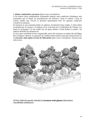 IES HORTICULTURA I JARDINERIA. REUS
                                                                Seminari de Medi Natural. J. Felip


L´alzinar continental o carrascar (Quercetum rotundifoliae)
A les nostres terres mediterrànies continentals imperen unes condicions climàtiques més
extremades que al litoral: les precipitacions són inferiors, l´estiu és calorós i eixut en
extrem, mentre que l´hivern es presenta rigorosament fred. En aquestes condicions
s´instal·la el carrascar.
El carrascar és una comunitat pobre en espècies, d´estructura força simple. L´estrat arbori
és dominat per la carrasca i el sotabosc no té, ni de bon tros l´exuberància de l´alzinar. Les
lianes hi escassegen i hi són també rars els grans arbusts; l´estrat herbaci és pobre i les
espècies heliòfiles ho dominen tot.
La seva gran variabilitat és ben comprensible, doncs de carrascars en trobem des del Bages
fins al migjorn valencià. La gran part de l´altiplà central català és país del carrascal més ric,
el carrascar amb espina cervina de fulla petita (Quercetum rotundifoliae rhamnetosum
infectoriae).




Al País Valencià apareix sobretot el carrascar amb gatosa (Quercetum
rotundifoliae ulicetosum).




                                                                                               44
 