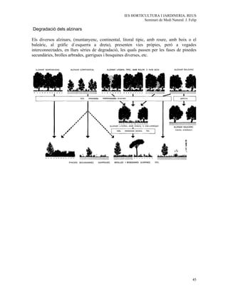 IES HORTICULTURA I JARDINERIA. REUS
                                                            Seminari de Medi Natural. J. Felip

Degradació dels alzinars

Els diversos alzinars, (muntanyenc, continental, litoral típic, amb roure, amb boix o el
baleàric, al gràfic d´esquerra a dreta), presenten vies pròpies, però a vegades
interconnectades, en llurs sèries de degradació, les quals passen per les fases de pinedes
secundàries, brolles arbrades, garrigues i bosquines diverses, etc.




                                                                                           45
 
