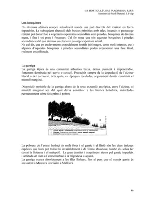 IES HORTICULTURA I JARDINERIA. REUS
                                                             Seminari de Medi Natural. J. Felip


Les bosquines
Els diversos alzinars ocupen actualment només una part discreta del territori on foren
esperables. La subsegüent alteració dels boscos primitius amb tales, incendis o pasturatge
reiterat pot donar lloc a vegetació espontània secundària com pinedes, bosquines de diversa
mena, i fins i tot prats i fenassars. Cal fer notar que són aquestes bosquines i pinedes
secundàries allò que domina en el nostre paisatge espontani actual.
No cal dir, que en enclavaments especialment hostils (sòl magre, vents molt intensos, etc.)
algunes d´aquestes bosquines i pinedes secundàries poden representar una fase final,
realment estabilitzada.



La garriga
La garriga típica és una comunitat arbustiva baixa, densa, punxent i impenetrable,
fortament dominada pel garric o coscoll. Procedeix sempre de la degradació de l´alzinar
litoral o del carrascar, dels quals, en èpoques reculades, segurament deuria constituir el
mantell marginal.

Disposició probable de la garriga abans de la seva expansió antròpica, entre l´alzinar, el
mantell marginal sec del qual devia constituir, i les brolles heliòfiles, instal·lades
permanetment sobre sòls prims i pobres




La pobresa de l´estrat herbaci és molt forta i el garric i el llistó són les dues úniques
espècies que hom pot trobar-hi invariablement i de forma abundosa; també els solen fer
costat la lleteresa i el matapoll. La gran densitat i atapeïment atesos pel garric impedeix
l´arribada de llum a l´estrat herbaci i la migradesa d´aquest.
La garriga manca absolutament a les illes Balears, fins al punt que el mateix garric és
inexistent a Menorca i raríssim a Mallorca.




                                                                                            46
 