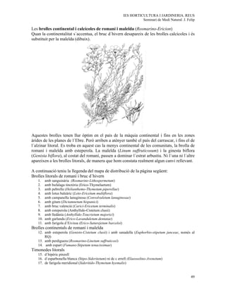 IES HORTICULTURA I JARDINERIA. REUS
                                                                     Seminari de Medi Natural. J. Felip

Les brolles continental i calcícoles de romaní i maleïda (Rosmarino-Ericion)
Quan la continentalitat s´accentua, el bruc d´hivern desapareix de les brolles calcícoles i és
substituit per la maleïda (dibuix).




Aquestes brolles tenen llur òptim en el país de la màquia continental i fins en les zones
àrides de les planes de l´Ebre. Però arriben a atènyer també el país del carrascar, i fins el de
l´alzinar litoral. Es troba en aquest cas la menys continental de les comunitats, la brolla de
romaní i maleïda amb esteperola. La maleïda (Linum suffruticosum) i la ginesta biflora
(Genista biflora), al costat del romaní, passen a dominar l´estrat arbustiu. Ni l´una ni l´altre
apareixen a les brolles litorals, de manera que hom constata realment algun canvi rellevant.

A continuació teniu la llegenda del mapa de distribució de la pàgina següent:
Brolles litorals de romaní i bruc d´hivern
   1.    amb sanguinària (Rosmarino-Lithospermetum)
   2.    amb bufalaga tinctòria (Erico-Thymelaetum)
   3.    amb pebrella (Helianthemo-Thymetum piperellae)
   4.    amb lotus baleàric (Loto-Ericetum multiflora)
   5.    amb campanella lanuginosa (Convolvuletum lanuginosae)
   6.    amb gitam (Dictamnetum hispanici)
   7.    amb bruc valencià (Carici-Ericetum terminalis)
   8.    amb esteperola (Anthyllido-Cistetum clusii)
   9.    amb lledània (Anthyllido-Teucrietum majorici)
   10.   amb garlanda (Erico-Lavanduletum dentatae)
   11.   amb farigola d´Eivissa (Erico-Saturejetum barceloi)
Brolles continentals de romaní i maleïda
   12. amb esteperola (Genisto-Cistetum clusii) i amb sanadella (Euphorbio-stipetum junceae, només al
       RQ)
   13. amb perdiguera (Rosmarino-Linetum suffruticosi)
   14. amb espart (Fumano-Stipetum tenacissimae)
Timonedes litorals
   15. d´hipèric pinzell
   16. d´esparbonella blanca (Stipo-Sideritetum) ni de c errell (Elaeoselino-Avenetum)
   17. de farigola meridional (Sideritido-Thymetum hyemalis)


                                                                                                    49
 