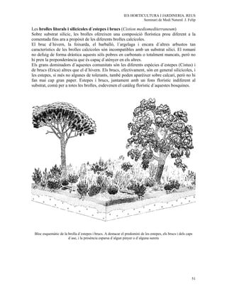 IES HORTICULTURA I JARDINERIA. REUS
                                                                        Seminari de Medi Natural. J. Felip

Les brolles litorals i silicícoles d´estepes i brucs (Cistion mediomediterraneum)
Sobre substrat silícic, les brolles ofereixen una composició florística prou diferent a la
comentada fins ara a propòsit de les diferents brolles calcícoles.
El bruc d´hivern, la foixarda, el barballó, l´argelaga i encara d´altres arbustos tan
característics de les brolles calcícoles són incompatibles amb un substrat silici. El romaní
no defuig de forma dràstica aquests sòls pobres en carbonats o totalment mancats, però no
hi pren la preponderància que és capaç d´atènyer en els altres.
Els grans dominadors d´aquestes comunitats són les diferents espècies d´estepes (Cistus) i
de brucs (Erica) altres que el d´hivern. Els brucs, efectivament, són en general silicícoles, i
les estepes, si més no algunes de tolerants, també poden aparèixer sobre calcari, però no hi
fan mai cap gran paper. Estepes i brucs, juntament amb un fons florístic indiferent al
substrat, comú per a totes les brolles, esdevenen el catàleg florístic d´aquestes bosquines.




 Bloc esquemàtic de la brolla d´estepes i brucs. A destacar el predomini de les estepes, els brucs i dels caps
                       d´ase, i la presència esparsa d´algun pinyer o d´alguna surera




                                                                                                             51
 
