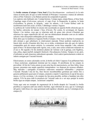 IES HORTICULTURA I JARDINERIA. REUS
                                                                Seminari de Medi Natural. J. Felip

La brolla comuna d´estepes i bruc boal (Cisto-Sarothamnetum catalaunici) és la més
estesa al nostre país, bé que es troba limitada al Principat; l´escassesa o manca de substrats
silícis al País Valencià i a les Balears permet de compendre la qüestió.
Les espècies més habituals són: l´estepa borrera, l´estepa negra, estepa blanca, el bruc boal,
l´argelaga negra (Calicotome spìnosa), el caps d´ase, la bruguerola, la gatosa, la botja
d´escombres, la ginesta, la farigola,.. entre els arbusts, i en l´estrat herbaci amb un
recobriment molt més escàs: el llistó, l´albellatge i molses i líquens.
La pobresa de l´estrat herbaci és encara més accentuada en aquesta brolla silicícola que en
les brolles calcícoles de romaní i bruc d´hivern. Per contra, hi sovintegen els líquens
foliacis i les molses, cosa que es relaciona amb els graus més elevats d´humitat que
ofereixen les capes superficials del sòl, mai tan dràsticament drenades com en els indrets
calcaris i més eficaçment ombrejades per les estepes.
Hom diria que la tendència d´aquesta brolla d´estepes i bruc boal a facilitar la restauració
dels alzinars a què substitueix és relativament marcada. Potser podríem explicar-ho en
funció dels nivells d´humitat dels llocs on es troba, evidentment més alts que els indrets
comparables però de natura calcària. La comunitat, sovint força atapeïda i alta, sobretot
quan el bruc s´hi desenvolupa amb vigoria, crea, a més, unes certes condicions nemorals en
el seu si. De seguida s´hi fan aleshores plantes de l´alzinar o de la garriga, com lligabosc,
roja, arboç, algun marfull, matapoll, llentiscle i fins plançons d´alzina. Tampoc és rar, però,
d´enfrontar-se amb situacions radicalment oposades. Això esdevé particularment evident en
indrets castigats per l´incendi forestal.

Efectivament, en zones calcinades sovint, la brolla sol oferir l´aspecte d´un poblament baix
i força esclarissat, amplament dominat per les estepes. El pirofitisme de les estepes és
proverbial. Al fort de l´estiu entren en una certa fase de marcescència, car llurs fulles, força
grosses, presenten una ampla superfície transpiradora i no disposen de recursos aïlladors.
Mig marcides i carregades d´essències esdevenen sumament inflamables i propicien
l´incendi. Passada l´ona de foc, llurs llavors incombustibles germínen per milers fins a
generar poblaments quasi purs d´estepes, amatents a repetir l´experiència al cap de ben pocs
mesos; si el foc sovinteja, i els estepars ho fan prou possible, arriben a bandejar tota altre
espècie. N´hi ha prou amb la presència de l´incendi cada sis o set anys perquè la nostra
brolla sigui un simple estepar, esclarissat i empobrit.

Veieu aqui sota un exemple de regeneració de la brolla després de l´incendi La brolla
pirofítica es regenera amb una relativa facilitat, sigui rebrotant de soca, que és l´estrategia
del garric i dels brucs (1), sigui germinant amb rapidesa i abundor, que és l´estratègia de les
estepes (2)




                                                                                               52
 