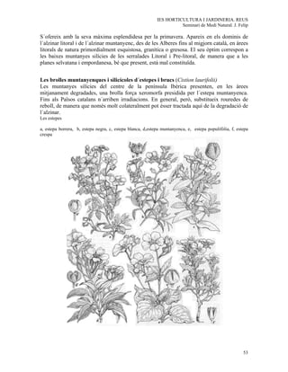 IES HORTICULTURA I JARDINERIA. REUS
                                                                      Seminari de Medi Natural. J. Felip

S´ofereix amb la seva màxima esplendidesa per la primavera. Apareix en els dominis de
l´alzinar litoral i de l´alzinar muntanyenc, des de les Alberes fins al migjorn català, en àrees
litorals de natura primordialment esquistosa, granítica o gresosa. El seu òptim correspon a
les baixes muntanyes silícies de les serralades Litoral i Pre-litoral, de manera que a les
planes selvatana i empordanesa, bé que present, està mal constituïda.


Les brolles muntanyenques i silicícoles d´estepes i brucs (Cistion laurifolii)
Les muntanyes silícies del centre de la península Ibèrica presenten, en les àrees
mitjanament degradades, una brolla força xeromorfa presidida per l´estepa muntanyenca.
Fins als Països catalans n´arriben irradiacions. En general, però, substitueix rouredes de
reboll, de manera que només molt colateralment pot ésser tractada aquí de la degradació de
l´alzinar.
Les estepes

a, estepa borrera, b, estepa negra, c, estepa blanca, d,estepa muntanyenca, e, estepa populifòlia, f, estepa
crespa




                                                                                                         53
 
