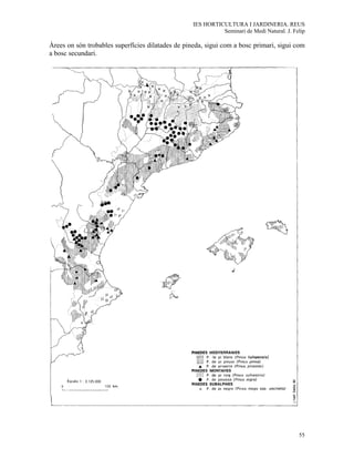 IES HORTICULTURA I JARDINERIA. REUS
                                                             Seminari de Medi Natural. J. Felip

Àrees on són trobables superfícies dilatades de pineda, sigui com a bosc primari, sigui com
a bosc secundari.




                                                                                            55
 