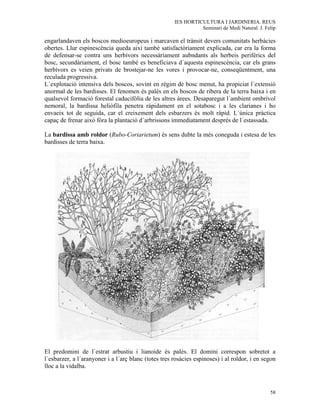 IES HORTICULTURA I JARDINERIA. REUS
                                                                Seminari de Medi Natural. J. Felip

engarlandaven els boscos medioeuropeus i marcaven el trànsit devers comunitats herbàcies
obertes. Llur espinescència queda així també satisfactòriament explicada, car era la forma
de defensar-se contra uns herbívors necessàriament aubndants als herbeis perifèrics del
bosc, secundàriament, el bosc també es beneficiava d´aquesta espinescència, car els grans
herbívors es veien privats de brostejar-ne les vores i provocar-ne, conseqüentment, una
reculada progressiva.
L´explotació intensiva dels boscos, sovint en règim de bosc menut, ha propiciat l´extensió
anormal de les bardisses. El fenomen és palès en els boscos de ribera de la terra baixa i en
qualsevol formació forestal caducifòlia de les altres àrees. Desaparegut l´ambient ombrívol
nemoral, la bardissa heliòfila penetra ràpidament en el sotabosc i a les clarianes i ho
envaeix tot de seguida, car el creixement dels esbarzers és molt ràpid. L´única pràctica
capaç de frenar això fóra la plantació d´arbrissons immediatament després de l´estassada.

La bardissa amb roldor (Rubo-Coriarietum) és sens dubte la més coneguda i estesa de les
bardisses de terra baixa.




El predomini de l´estrat arbustiu i lianoide és palès. El domini correspon sobretot a
l´esbarzer, a l´aranyoner i a l´arç blanc (totes tres rosàcies espinoses) i al roldor, i en segon
lloc a la vidalba.



                                                                                               58
 
