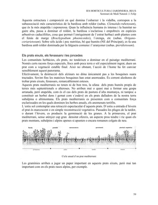 IES HORTICULTURA I JARDINERIA. REUS
                                                                 Seminari de Medi Natural. J. Felip

Aquesta estructura i composició en què domina l´esbarzer i la vidalba, correspon a la
subassociació més característica de la bardissa amb roldor (subas. Clematido-rubetosum),
que és la més atapeïda i esponerosa. Quan la influència humana és intensa i la humitat no
gaire alta, passa a dominar el roldor, la bardissa s´esclarissa i empobreix en espècies
arbustives caducifòlies, cosa que permet l´enriquiment de l´estrat herbaci amb plantes com
el fenàs de marge (Brachypodium phoenicoides), l´orenga, etc (subas. Origano-
coriarietosum). Sobre sòls àcids i poc nutritius, bé que humits (NE del Principat), es fa una
bardissa amb roldor dominada per la falguera comuna i l´aranyoner (subas. pteridietosum).


Els prats eixuts, els fenassars i les joncedes
Les comunitats herbàcies, els prats, no tendeixen a dominar en el paisatge mediterrani.
Només certs racons força especials, llocs amb poca terra o sòl especialment ingrat, duen un
prat com a vegetació estable final. Això no obstant, l´acció de l´home ha fet canviar
sensiblement aquest panorama.
Efectivament, la destrucció dels alzinars no dóna únicament pas a les bosquines suara
tractades. Sovint fins les mateixes bosquines han estat anorreades. És corrent aleshores de
trobar prats eixuts, fenassars, remarcablement estesos.
Aquests prats mediterranis no tenen ni de bon tros, la ufana dels prats humits propis de
terres més septentrionals o alteroses. No arriben mai o quasi mai a formar una gespa
arranada, però atapeïda, com és el cas dels prats de pastura d´alta muntanya, ni tampoc a
constituir un herbei dens i gemat com s´esdevé en els prats dalladors de la nostra terra
subalpina o altimontana. Els prats mediterranis es presenten com a comunitats força
esclarissades en les quals dominen les herbes anuals, els anomenats teròfits.
L´estiu sol contemplar una retracció espectacular d´aquests prats. D´estiu a entrada d´hivern
el prat és marcescent o en simple reconstrucció vegetativa. Passades les pluges de la tardor,
o durant l´hivern, es produeix la germinació de les granes. A la primavera, el prat
mediterrani, sense atènyer cap gran densitat ofereix, un aspecte prou tendre i ric quan els
prats montans, subalpins i alpins apenes si apunten o encara romanen colgats de neu.




                                Cicle anual d´un prat mediterrani

Les gramínies arriben a jugar un paper important en aquests prats eixuts, però mai tan
important com en els prats rasos alpins, per exemple.




                                                                                                59
 