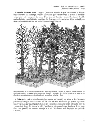 IES HORTICULTURA I JARDINERIA. REUS
                                                                         Seminari de Medi Natural. J. Felip

La roureda de roure pènol (Isopyro-Quercetum roboris) fa part del conjunt de boscos
medioeuropeus de l´aliança Fraxinio-Carpinion que constitueixen la clímax d´enormes
extensions centroeuropees. Es tracta d´una roureda humida i neutròfil, aimant de sòls
profunds i rics en substàncies nutritives. Es fa sempre sobre substrats silícis no àcids, en
sòls profunds i neutres que són una terra bruna medioeuropea.




Bloc esquemàtic de la roureda de roure pènol. Aspecte primaveral i estival. A destacar, ultra el substrat, en
aquest cas basàltic, la florida vernal de buixols, gatasses i avellaners, i la florida d´estiu de la resta de les
abundoses herbes de sotabosc, aixoplugades per un sotabosc arbori alt i dens

La freixeneda típica (Brachypodio-Fraxinetum excelsioris) se situa a les baldanes
pirinenques obagues situiades entre els 800 i els 1300 m, de manera que podem suposar-li
una preferència per aquestes parts baixes del vessant, on faria una sanefa intercalar entre la
vegetació de ribera del fons de la vall i l´avellanosa o la pineda boreal de pi roig de les parts
altes, una posició, en summa, anàloga a la de l´avellanosa amb falgueres del país de
l´alzinar.




                                                                                                              72
 