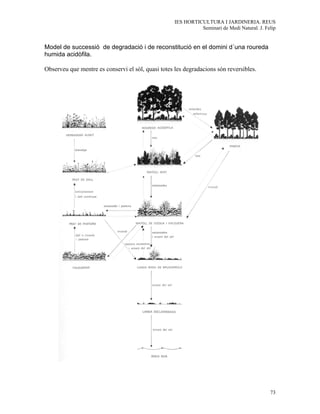IES HORTICULTURA I JARDINERIA. REUS
                                                              Seminari de Medi Natural. J. Felip


Model de successió de degradació i de reconstitució en el domini d´una roureda
humida acidòfila.

Observeu que mentre es conservi el sòl, quasi totes les degradacions són reversibles.




                                                                                             73
 