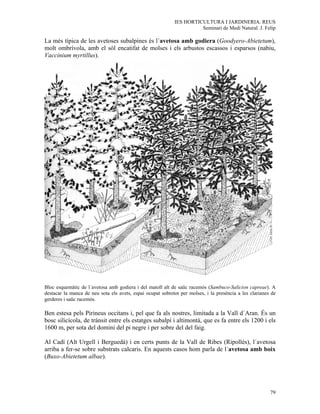 IES HORTICULTURA I JARDINERIA. REUS
                                                                      Seminari de Medi Natural. J. Felip

La més típica de les avetoses subalpines és l´avetosa amb godiera (Goodyero-Abietetum),
molt ombrívola, amb el sòl encatifat de molses i els arbustos escassos i esparsos (nabiu,
Vaccinium myrtillus).




Bloc esquemàtic de l´avetosa amb godiera i del matoll alt de saüc racemós (Sambuco-Salicion capreae). A
destacar la manca de neu sota els avets, espai ocupat sobretot per molses, i la presència a les clarianes de
gerderes i saüc racemós.

Ben estesa pels Pirineus occitans i, pel que fa als nostres, limitada a la Vall d´Aran. És un
bosc silicícola, de trànsit entre els estatges subalpí i altimontà, que es fa entre els 1200 i els
1600 m, per sota del domini del pi negre i per sobre del del faig.

Al Cadí (Alt Urgell i Berguedà) i en certs punts de la Vall de Ribes (Ripollès), l´avetosa
arriba a fer-se sobre substrats calcaris. En aquests casos hom parla de l´avetosa amb boix
(Buxo-Abietetum albae).




                                                                                                         79
 