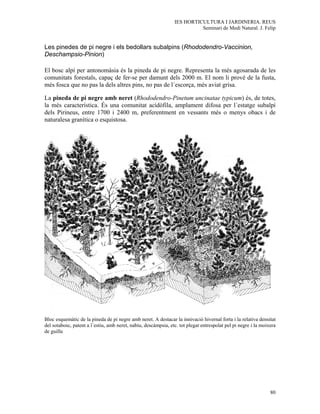 IES HORTICULTURA I JARDINERIA. REUS
                                                                          Seminari de Medi Natural. J. Felip


Les pinedes de pi negre i els bedollars subalpins (Rhododendro-Vaccinion,
Deschampsio-Pinion)

El bosc alpí per antonomàsia és la pineda de pi negre. Representa la més agosarada de les
comunitats forestals, capaç de fer-se per damunt dels 2000 m. El nom li prové de la fusta,
més fosca que no pas la dels altres pins, no pas de l´escorça, més aviat grisa.

La pineda de pi negre amb neret (Rhododendro-Pinetum uncinatae typicum) és, de totes,
la més característica. És una comunitat acidòfila, amplament difosa per l´estatge subalpí
dels Pirineus, entre 1700 i 2400 m, preferentment en vessants més o menys obacs i de
naturalesa granítica o esquistosa.




Bloc esquemàtic de la pineda de pi negre amb neret. A destacar la innivació hivernal forta i la relativa densitat
del sotabosc, patent a l´estiu, amb neret, nabiu, descàmpsia, etc. tot plegat entrespolat pel pi negre i la moixera
de guilla




                                                                                                                80
 