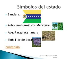 Apure | PPSX