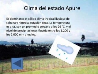 Clima del estado Apure
Es dominante el cálido clima tropical lluvioso de
sabana y rigurosa estación seca. La temperatura
es alta, con un promedio cercano a los 26 °C, y el
nivel de precipitaciones fluctúa entre los 1.200 y
los 2.000 mm anuales.
 
