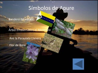 Símbolos de Apure
Bandera del estado.


Árbol Emblemático el Merecure

Ave la Paraulata Llanera

Flor de Bora
 
