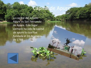 Capital de Apure
La capital del estado
Apure es San Fernando
de Apure. Este lugar
siempre ha sido la capital
de apure la cual fue
fundada el 24 de enero
de 1788
 