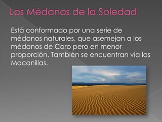 Está conformado por una serie de
médanos naturales, que asemejan a los
médanos de Coro pero en menor
proporción. También se encuentran vía las
Macanillas.