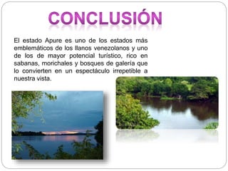 El estado Apure es uno de los estados más
emblemáticos de los llanos venezolanos y uno
de los de mayor potencial turístico, rico en
sabanas, morichales y bosques de galería que
lo convierten en un espectáculo irrepetible a
nuestra vista.
 