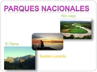 Río viejo
Santos Luzardo
El Tama
 