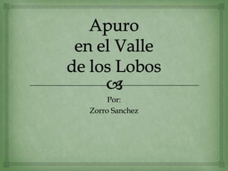 Por:
Zorro Sanchez

 