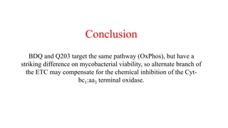Conclusion
BDQ and Q203 target the same pathway (OxPhos), but have a
striking difference on mycobacterial viability, so alternate branch of
the ETC may compensate for the chemical inhibition of the Cyt-
bc1:aa3 terminal oxidase.
 