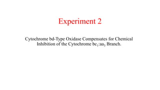 Experiment 2
Cytochrome bd-Type Oxidase Compensates for Chemical
Inhibition of the Cytochrome bc1:aa3 Branch.
 