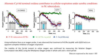 M: H37Rv ΔcydABP: M. tuberculosis H37Rv C: ΔcydABcomp
Alternate Cyt-bd terminal oxidase contributes to cellular respiration under aerobic conditions
in M. tuberculosis.
Q203 BDQ1% DMSO
Using methylene blue as an oxygen probe, it was observed that treatment of H37Rv ΔcydAB with Q203 led to an
apparent complete inhibition of oxygen respiration
Data are expressed as the mean ± SD
The inability of the Cyt-bd mutant to utilize oxygen was confirmed by measuring the Relative Oxygen
Consumption rate (ROC) using the MitoXpress Oxygen probe in whole cells over a short period
 