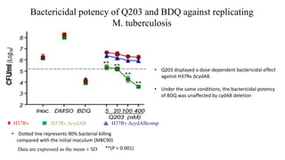 Data are expressed as the mean ± SD
H37Rv ΔcydABH37Rv H37Rv ΔcydABcomp
**(P < 0.001)
• Dotted line represents 90% bacterial killing
compared with the initial inoculum (MBC90)
Bactericidal potency of Q203 and BDQ against replicating
M. tuberculosis
• Q203 displayed a dose-dependent bactericidal effect
against H37Rv ΔcydAB.
• Under the same conditions, the bactericidal potency
of BDQ was unaffected by cydAB deletion
 