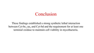 Conclusion
These findings established a strong synthetic lethal interaction
between Cyt-bc1:aa3 and Cyt-bd and the requirement for at least one
terminal oxidase to maintain cell viability in mycobacteria.
 
