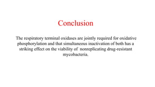 Conclusion
The respiratory terminal oxidases are jointly required for oxidative
phosphorylation and that simultaneous inactivation of both has a
striking effect on the viability of nonreplicating drug-resistant
mycobacteria.
 
