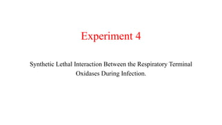 Experiment 4
Synthetic Lethal Interaction Between the Respiratory Terminal
Oxidases During Infection.
 