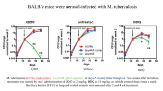 M. tuberculosis H37Rv (red circles), Δ cydAB (green squares), or ΔcydABcomp (blue triangles). Two weeks after infection,
treatment was started by oral administration of Q203 at 2 mg/kg, BDQ at 10 mg/kg, or vehicle control three times a week.
Bacillary burden (CFU) in lungs of treated animals was assessed after 2 and 4 wk treatment.
BALB/c mice were aerosol-infected with M. tuberculosis
Q203 Vehicle BDQ.
 