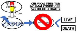 Cyt bc 1 : aa3
bd oxidase ATP Synthase
LIVE
DEATH
NORMAL CONDITIONS
CHEMICAL INHIBITOR
Q203
SYNTHETIC LETHALITY
 