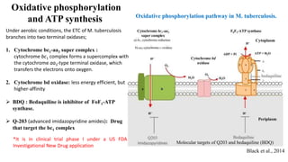Oxidative phosphorylation pathway in M. tuberculosis.
Under aerobic conditions, the ETC of M. tuberculosis
branches into two terminal oxidases;
1. Cytochrome bc1-aa3 super complex :
cytochrome bc1 complex forms a supercomplex with
the cytochrome aa3-type terminal oxidase, which
transfers the electrons onto oxygen.
2. Cytochrome bd oxidase: less energy efficient, but
higher-affinity
 BDQ : Bedaquiline is inhibitor of FoF1-ATP
synthase.
 Q-203 (advanced imidazopyridine amides): Drug
that target the bc1 complex
Cytoplasm
Periplasm
Molecular targets of Q203 and bedaquiline (BDQ)
Oxidative phosphorylation
and ATP synthesis
*It is in clinical trial phase I under a US FDA
Investigational New Drug application
Black et al., 2014
 
