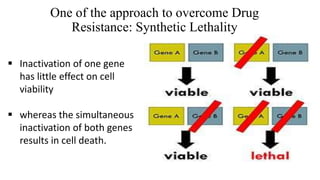 One of the approach to overcome Drug
Resistance: Synthetic Lethality
 Inactivation of one gene
has little effect on cell
viability
 whereas the simultaneous
inactivation of both genes
results in cell death.
 