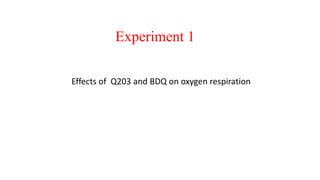 Experiment 1
Effects of Q203 and BDQ on oxygen respiration
 