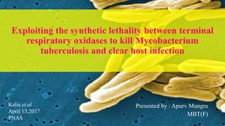 Exploiting the synthetic lethality between terminal
respiratory oxidases to kill Mycobacterium
tuberculosis and clear host infection
Presented by : Apurv Mungra
MBT(F)
Kalia et al
April 13,2017
PNAS
 