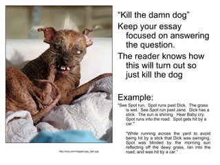 “Kill the damn dog”
                                      Keep your essay
                                        focused on answering
                                        the question.
                                      The reader knows how
                                        this will turn out so
                                        just kill the dog

                                      Example:
                                      "See Spot run. Spot runs past Dick. The grass
                                          is wet. See Spot run past Jane. Dick has a
                                          stick. The sun is shining. Hear Baby cry.
                                          Spot runs into the road. Spot gets hit by a
                                          car."

                                          "While running across the yard to avoid
                                          being hit by a stick that Dick was swinging,
                                          Spot was blinded by the morning sun
                                          reflecting off the dewy grass, ran into the
http://xrlq.com/Images/ugly_sam.jpg       road, and was hit by a car.”
 