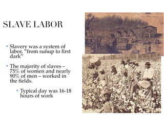 SLAVE LABOR
✤ Slavery was a system of
labor, “from sunup to ﬁrst
dark”
✤ The majority of slaves –
75% of women and nearly
90% of men – worked in
the ﬁelds.
✤ Typical day was 16-18
hours of work
 