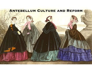 Antebellum Culture and Reform
 